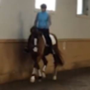 Meet your Posher, Maggie